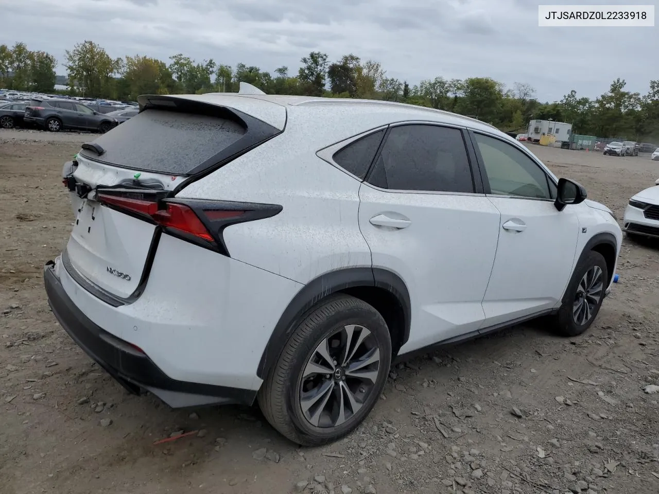 2020 Lexus Nx 300 F Sport VIN: JTJSARDZ0L2233918 Lot: 73176424