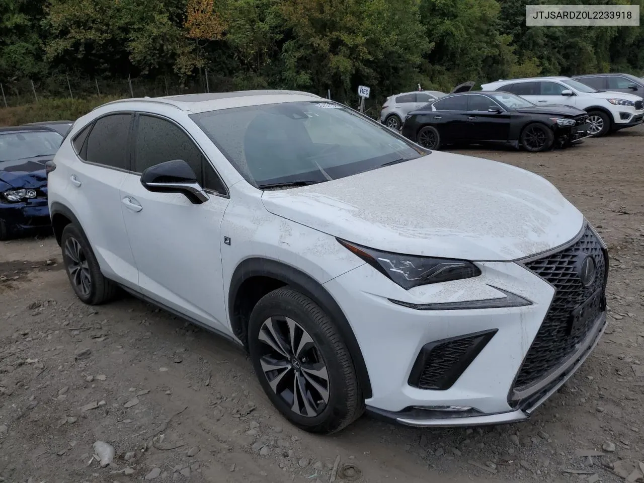 JTJSARDZ0L2233918 2020 Lexus Nx 300 F Sport