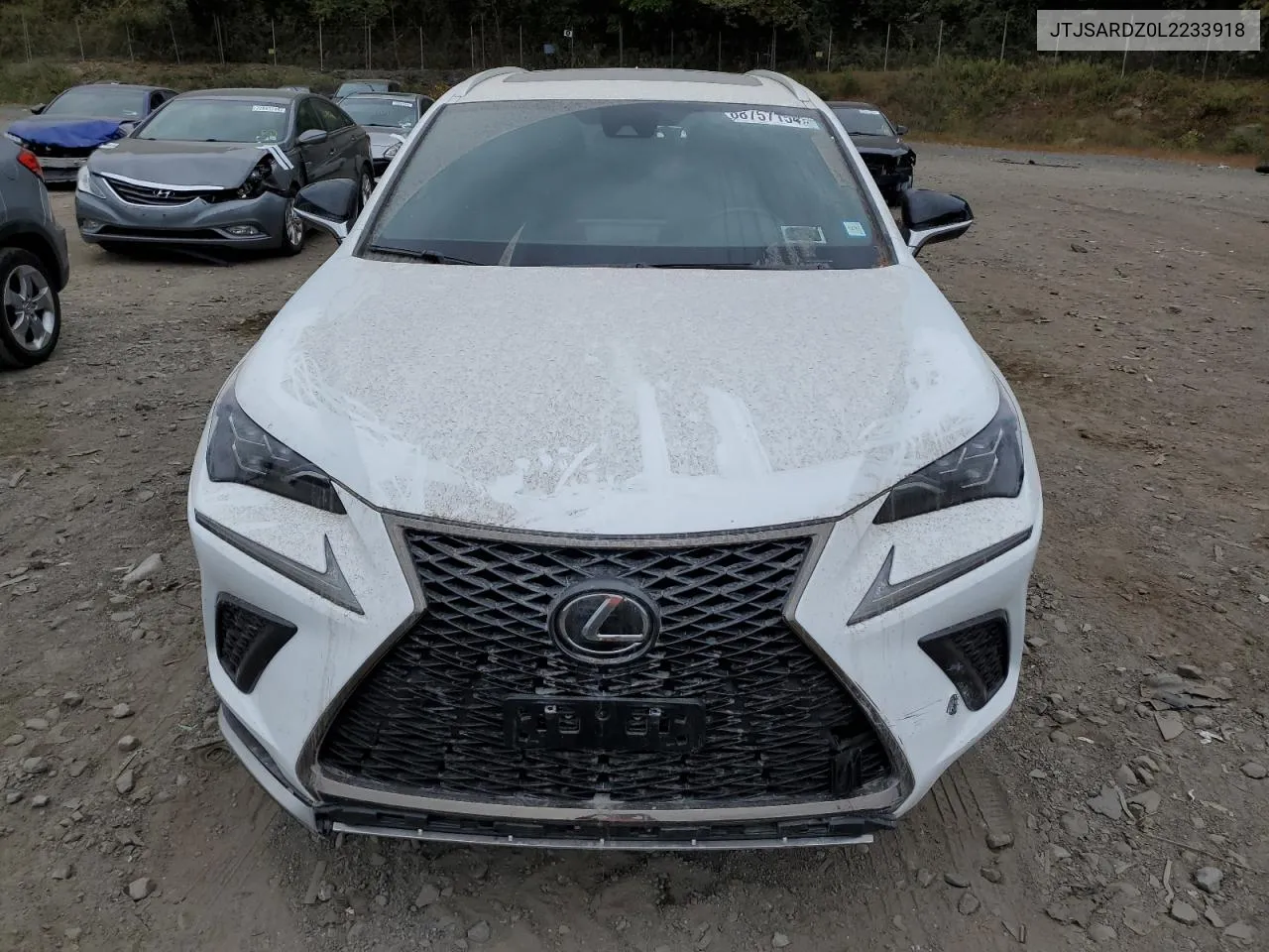 JTJSARDZ0L2233918 2020 Lexus Nx 300 F Sport