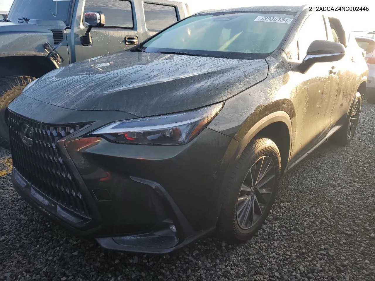 2022 Lexus Nx 250 VIN: 2T2ADCAZ4NC002446 Lot: 73936134