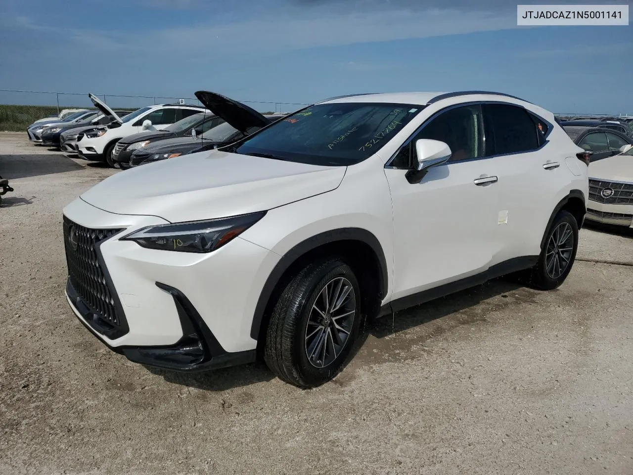 2022 Lexus Nx 250 VIN: JTJADCAZ1N5001141 Lot: 75217764