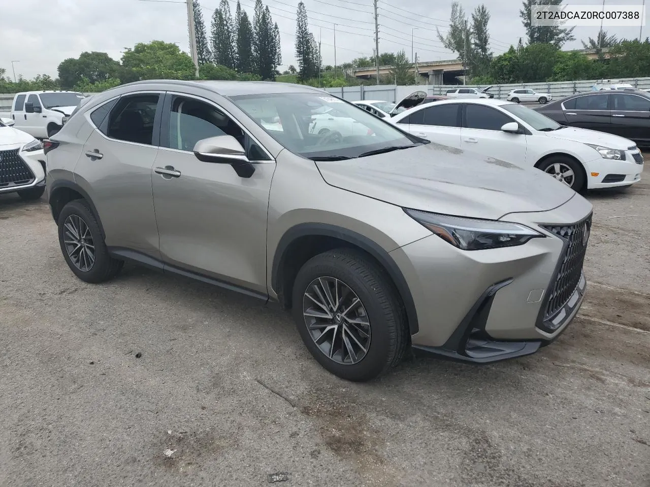 2024 Lexus Nx 250 Base VIN: 2T2ADCAZ0RC007388 Lot: 61649974