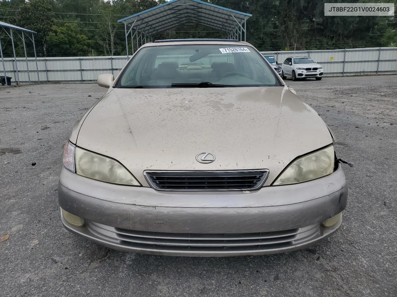 1997 Lexus Es 300 VIN: JT8BF22G1V0024603 Lot: 71528164