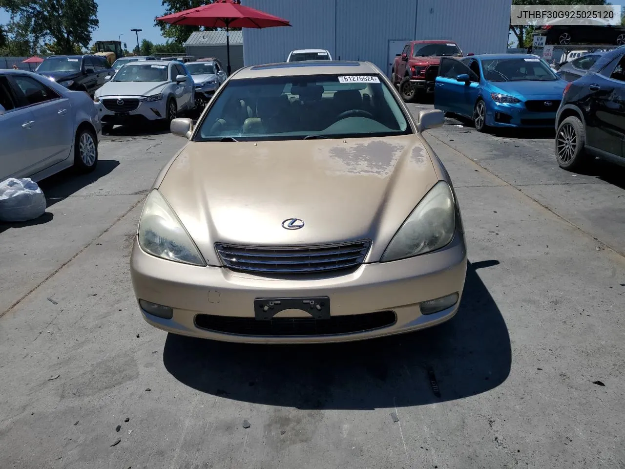 JTHBF30G925025120 2002 Lexus Es 300