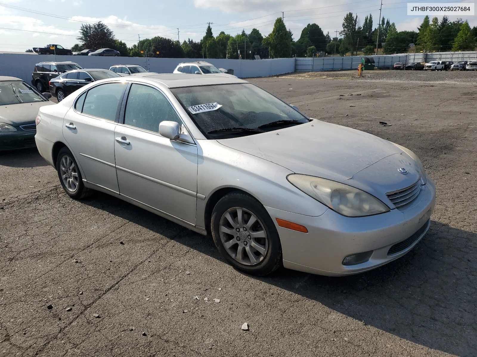 2002 Lexus Es 300 VIN: JTHBF30GX25027684 Lot: 63411094