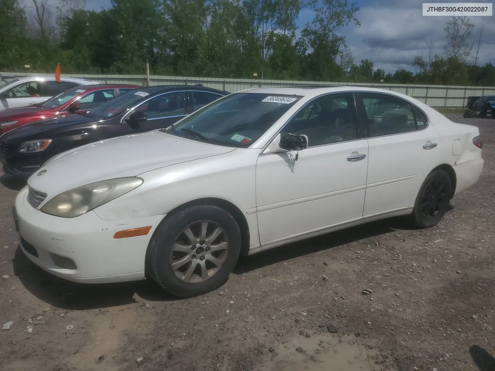 2002 Lexus Es 300 VIN: JTHBF30G420022087 Lot: 66349634