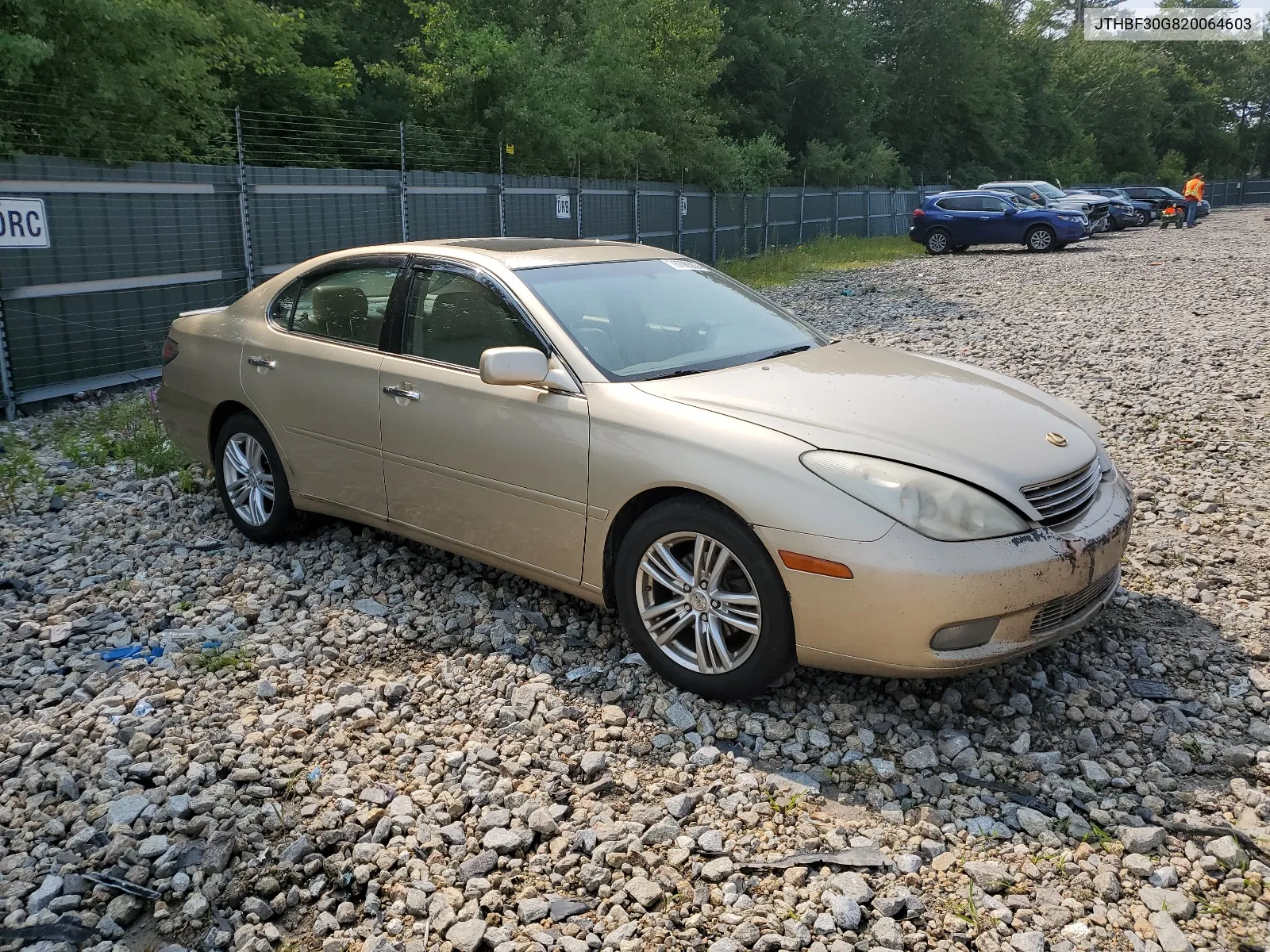 2002 Lexus Es 300 VIN: JTHBF30G820064603 Lot: 67063824