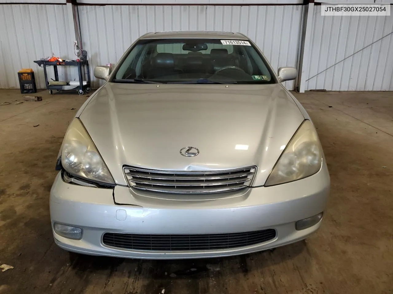 2002 Lexus Es 300 VIN: JTHBF30GX25027054 Lot: 71613514