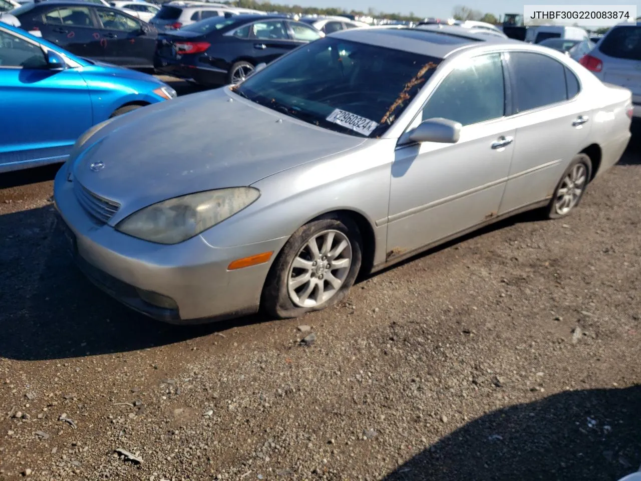 2002 Lexus Es 300 VIN: JTHBF30G220083874 Lot: 72960324