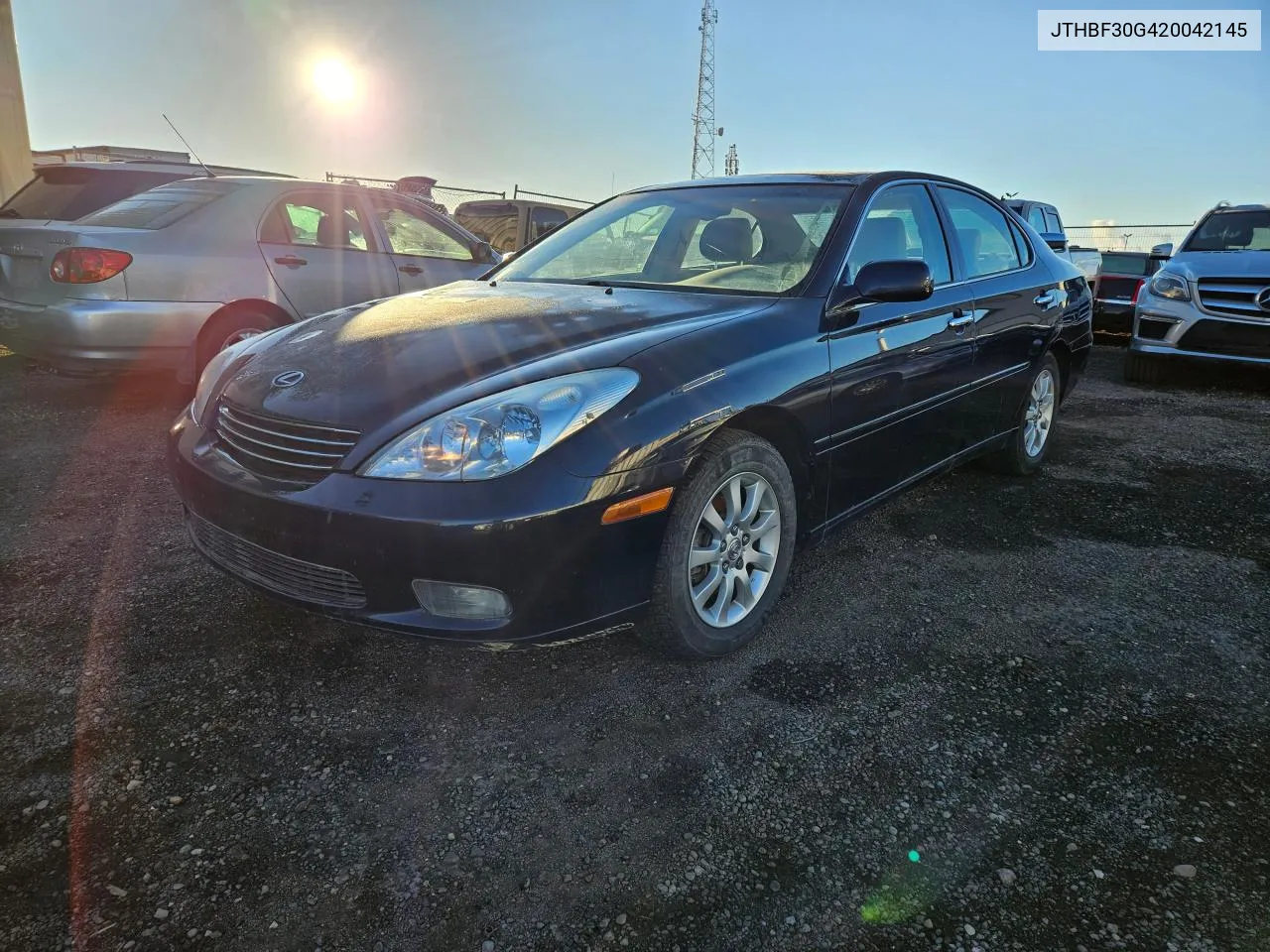 2002 Lexus Es 300 VIN: JTHBF30G420042145 Lot: 77895514