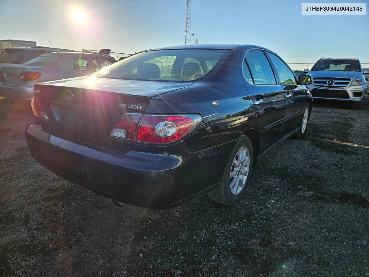 2002 Lexus Es 300 VIN: JTHBF30G420042145 Lot: 77895514