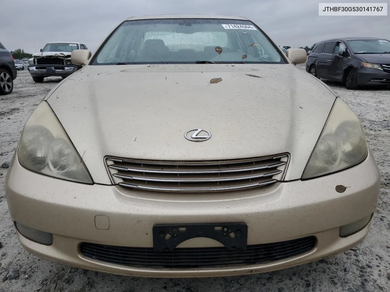 2003 Lexus Es 300 VIN: JTHBF30G530141767 Lot: 71424504