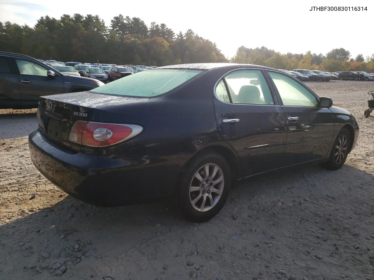 2003 Lexus Es 300 VIN: JTHBF30G830116314 Lot: 74716774