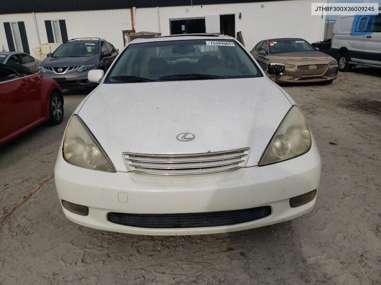 2003 Lexus Es 300 VIN: JTHBF30GX36009245 Lot: 75349984