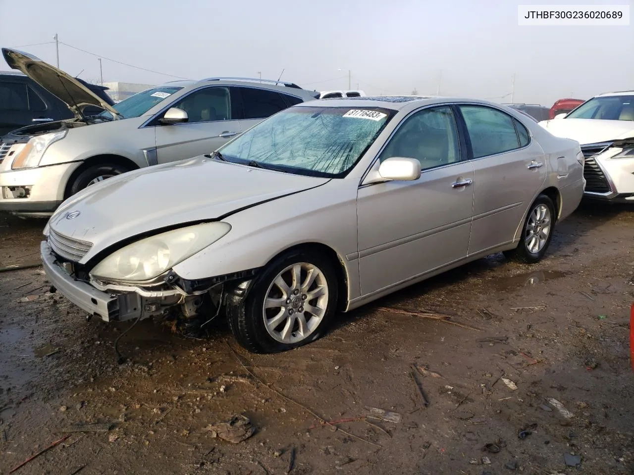 2003 Lexus Es 300 VIN: JTHBF30G236020689 Lot: 81716483