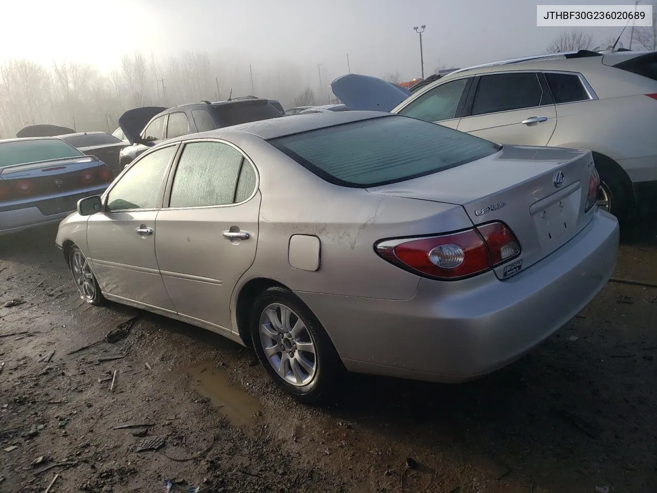 2003 Lexus Es 300 VIN: JTHBF30G236020689 Lot: 81716483