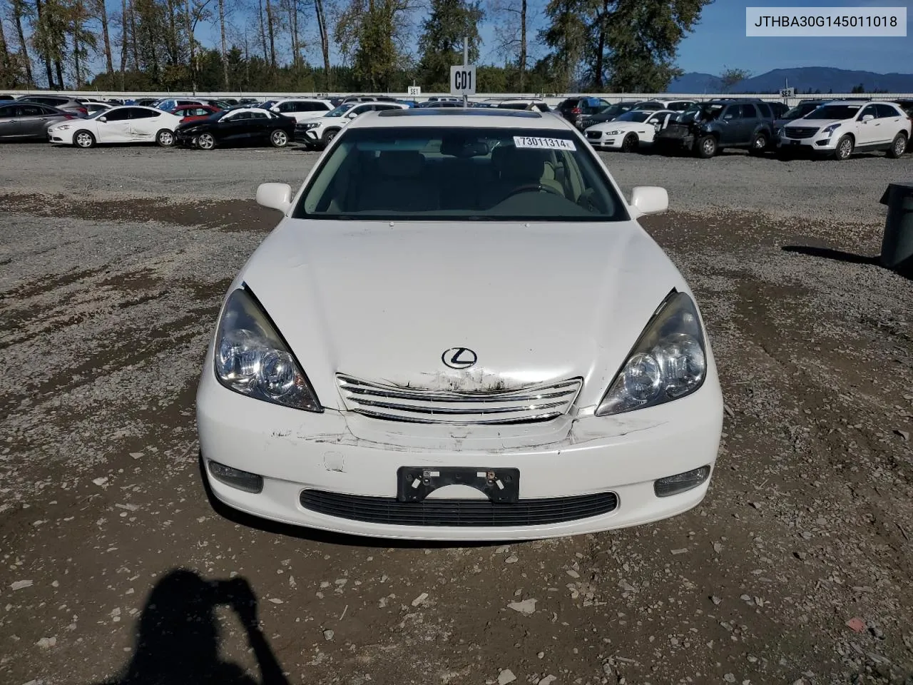 2004 Lexus Es 330 VIN: JTHBA30G145011018 Lot: 73011314