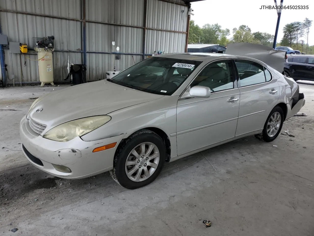 2004 Lexus Es 330 VIN: JTHBA30G645025335 Lot: 74250414