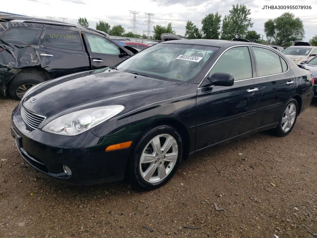 2005 Lexus Es 330 VIN: JTHBA30G955078936 Lot: 60332324