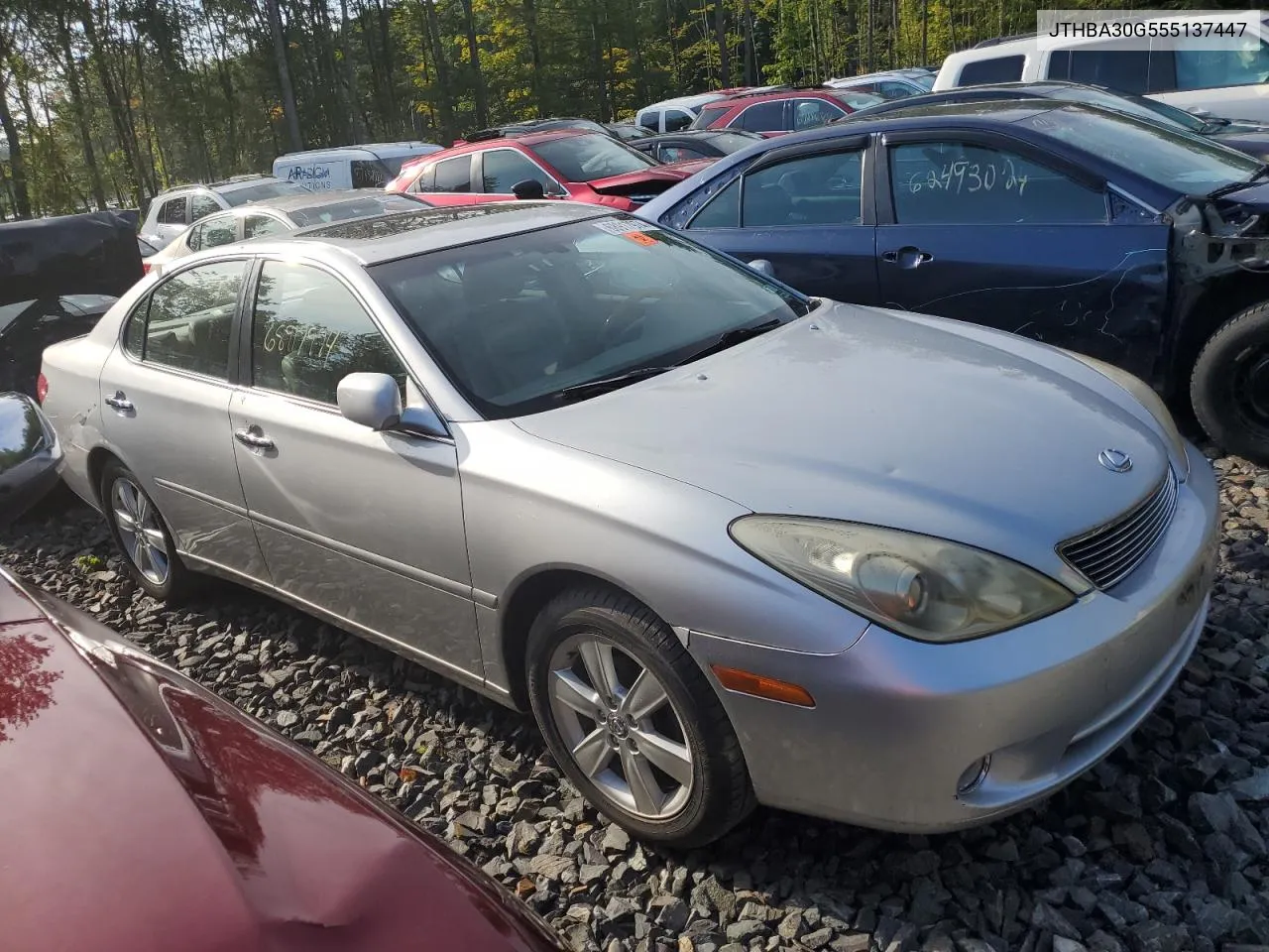 2005 Lexus Es 330 VIN: JTHBA30G555137447 Lot: 68917974