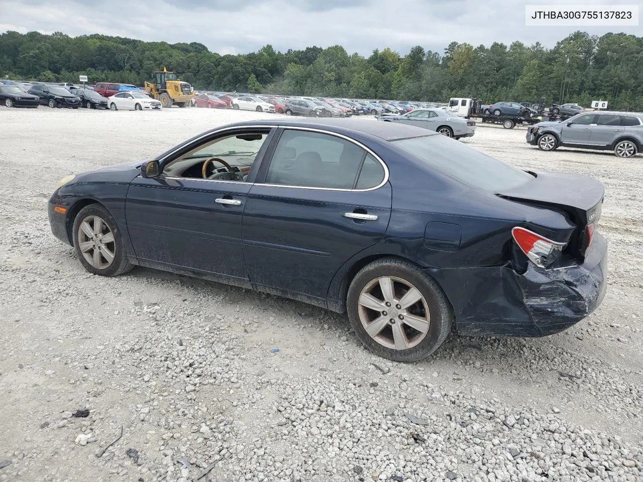 2005 Lexus Es 330 VIN: JTHBA30G755137823 Lot: 69575334