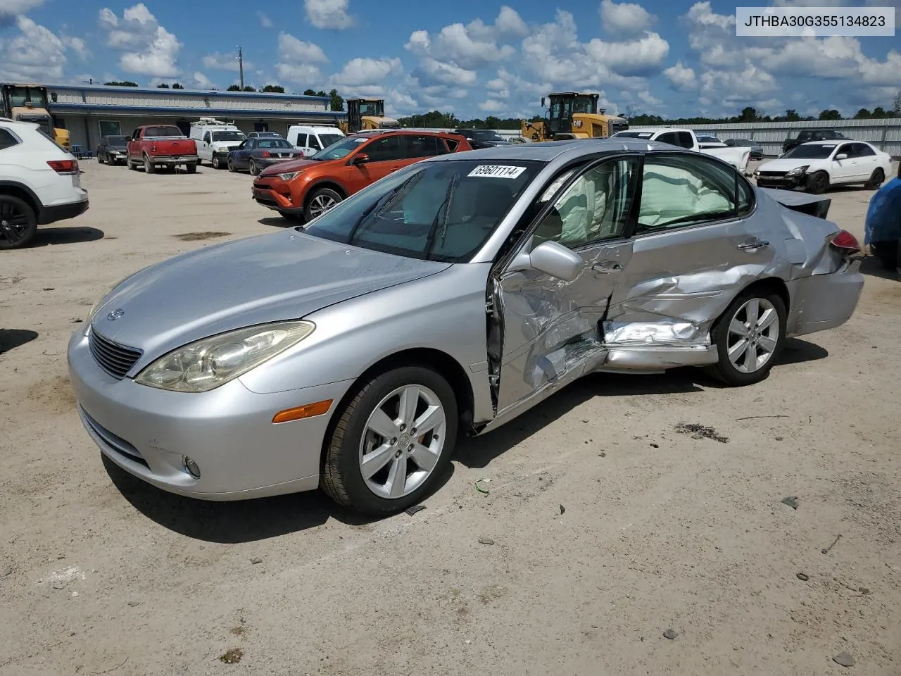 2005 Lexus Es 330 VIN: JTHBA30G355134823 Lot: 69601114