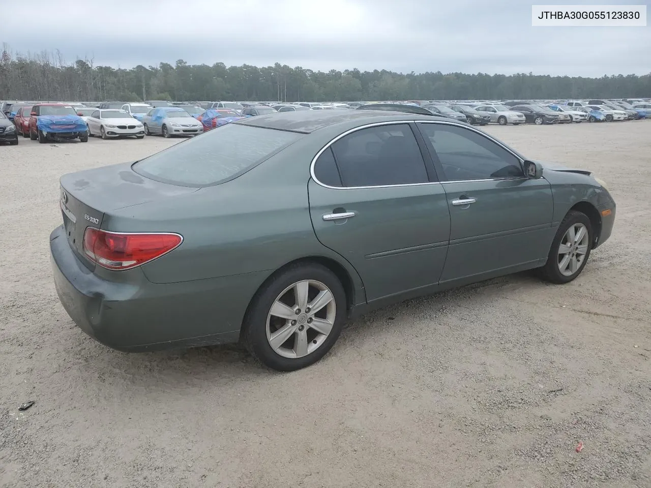 2005 Lexus Es 330 VIN: JTHBA30G055123830 Lot: 71390244