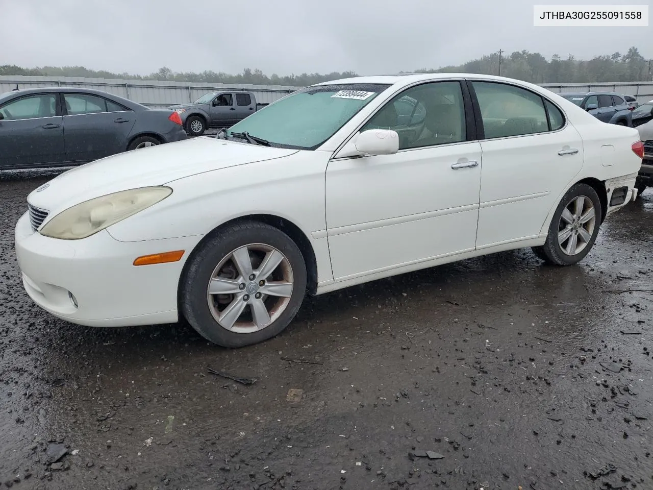 2005 Lexus Es 330 VIN: JTHBA30G255091558 Lot: 72399444