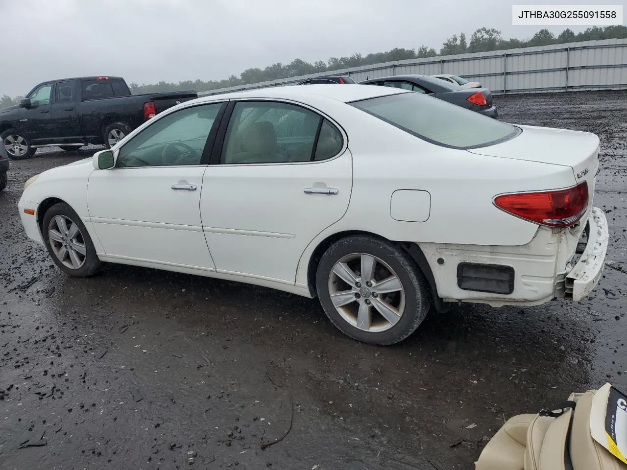 2005 Lexus Es 330 VIN: JTHBA30G255091558 Lot: 72399444