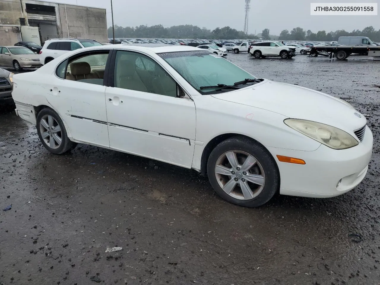 2005 Lexus Es 330 VIN: JTHBA30G255091558 Lot: 72399444