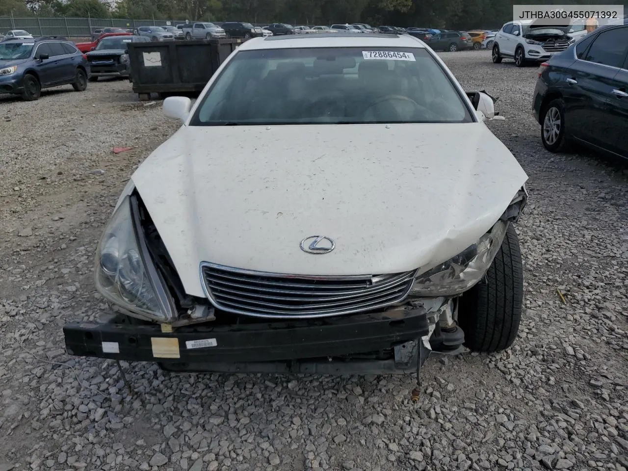 2005 Lexus Es 330 VIN: JTHBA30G455071392 Lot: 72886454