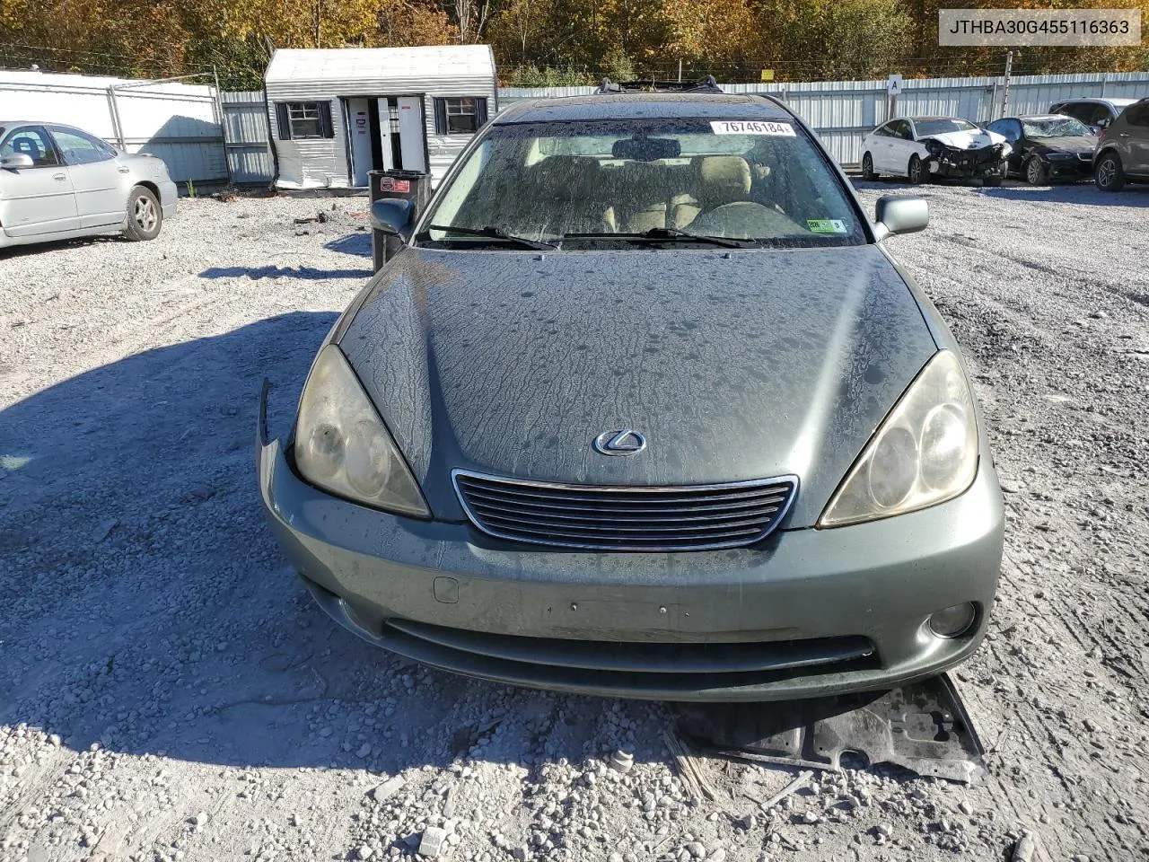 2005 Lexus Es 330 VIN: JTHBA30G455116363 Lot: 76746184