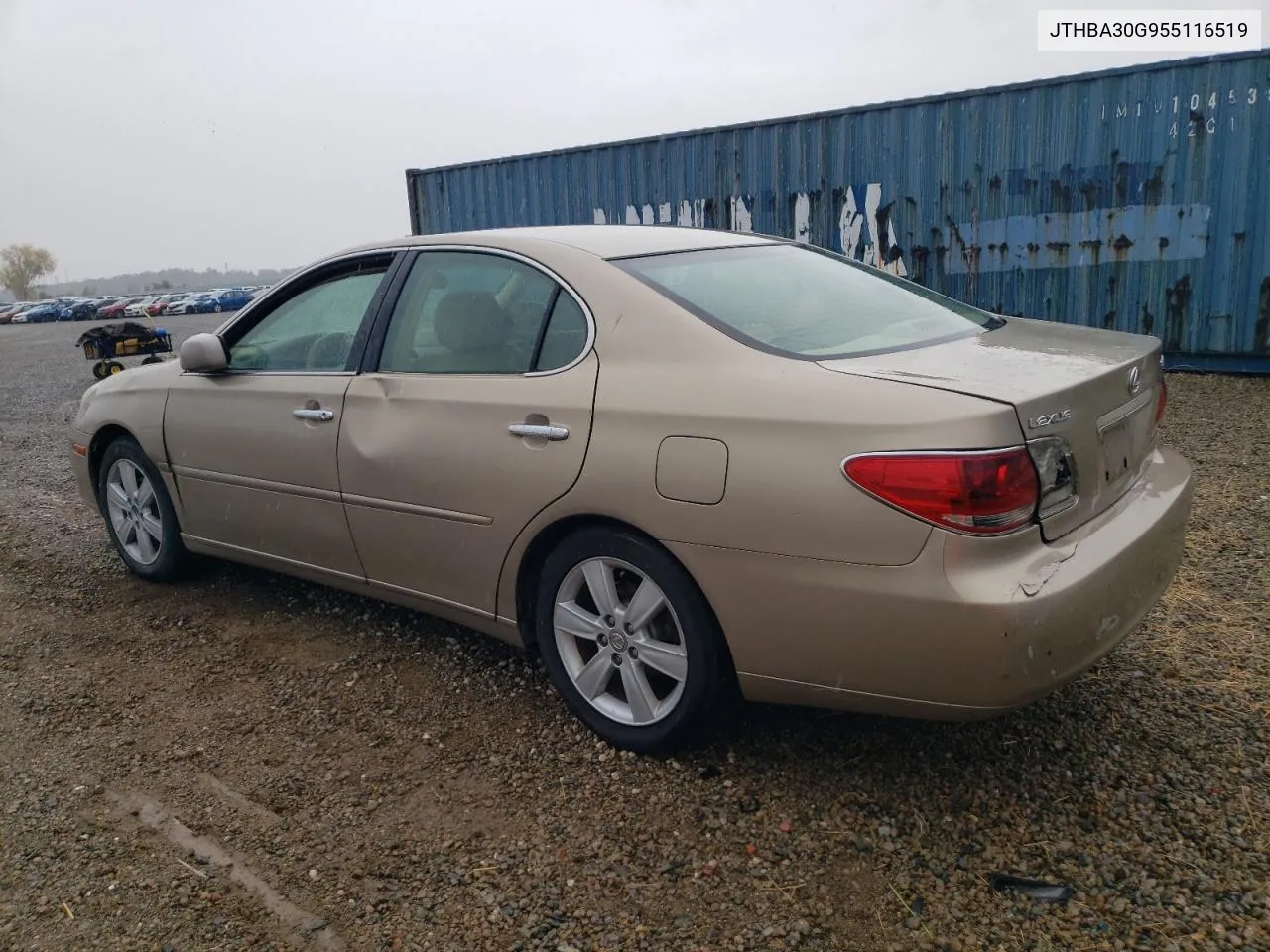 2005 Lexus Es 330 VIN: JTHBA30G955116519 Lot: 80924084