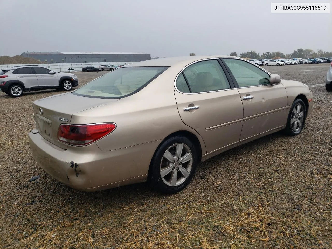 2005 Lexus Es 330 VIN: JTHBA30G955116519 Lot: 80924084