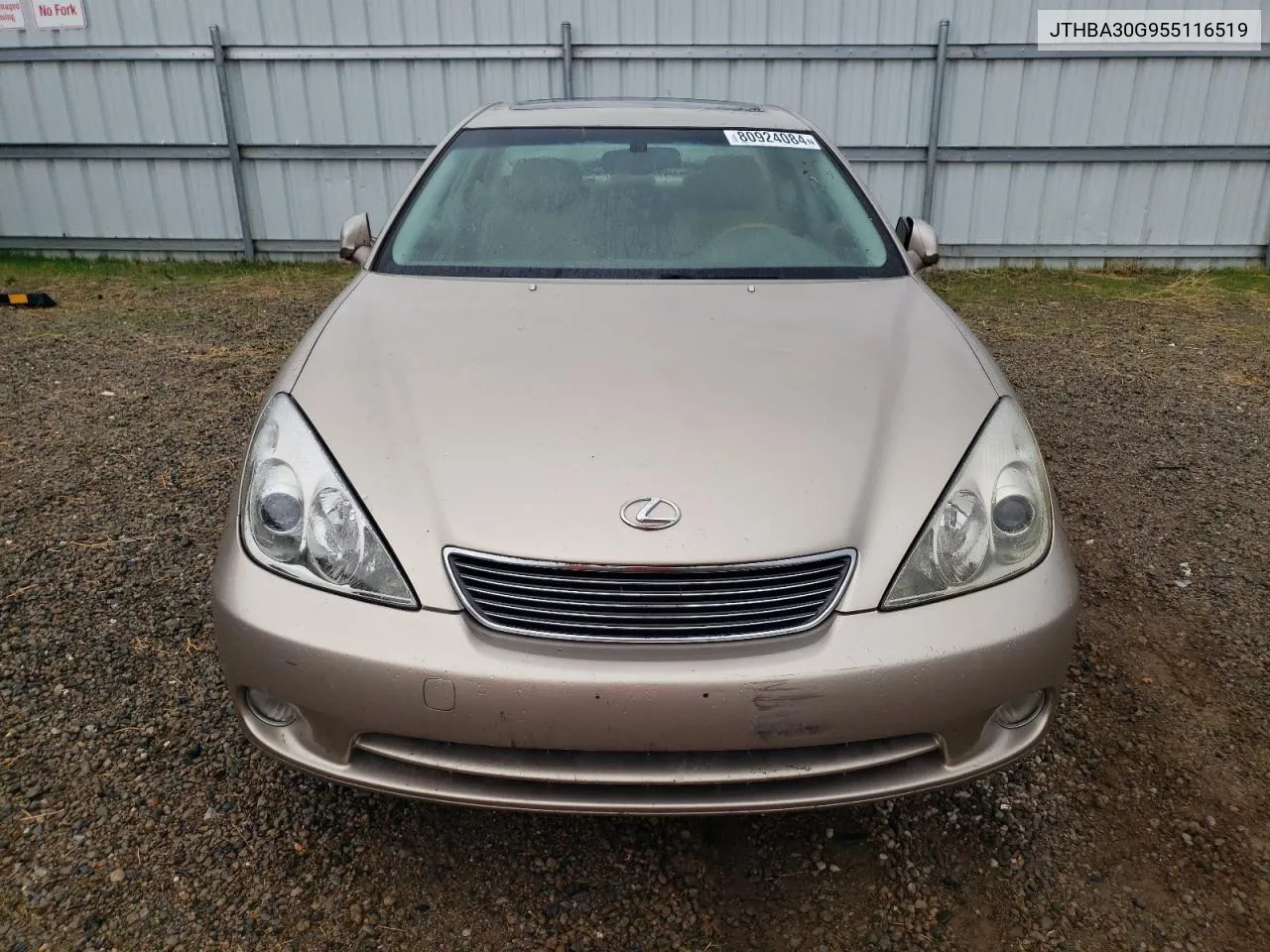 2005 Lexus Es 330 VIN: JTHBA30G955116519 Lot: 80924084