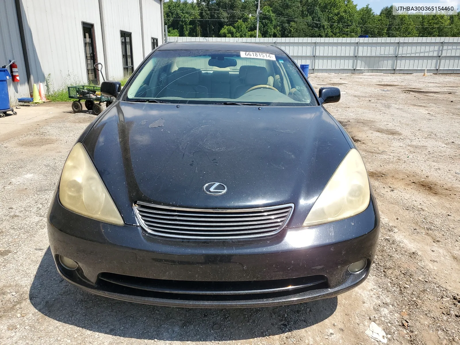 2006 Lexus Es 330 VIN: JTHBA30G365154460 Lot: 66181514