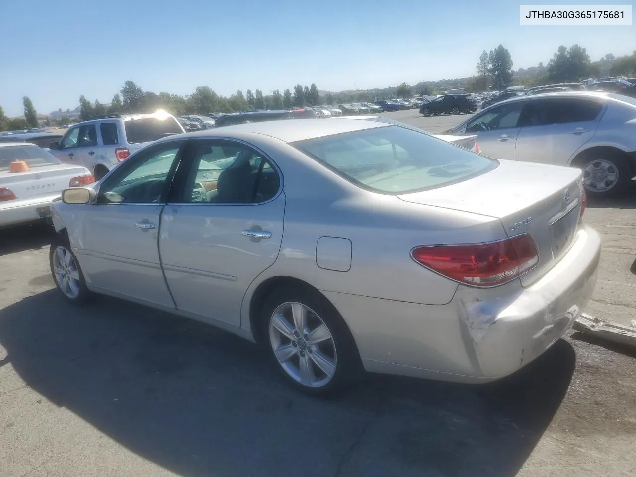 2006 Lexus Es 330 VIN: JTHBA30G365175681 Lot: 70505834