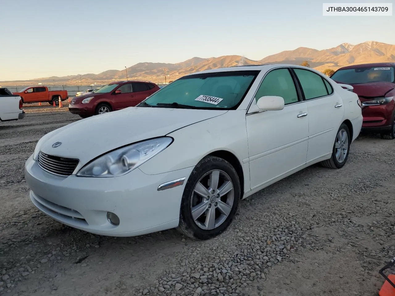 2006 Lexus Es 330 VIN: JTHBA30G465143709 Lot: 77535444