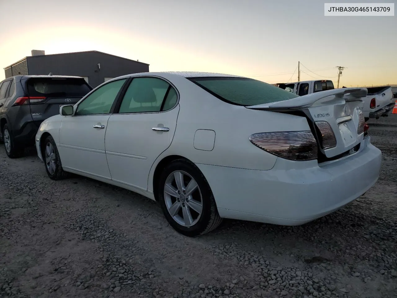 2006 Lexus Es 330 VIN: JTHBA30G465143709 Lot: 77535444