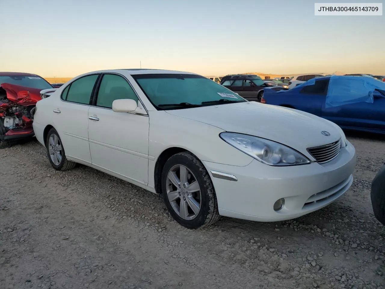 2006 Lexus Es 330 VIN: JTHBA30G465143709 Lot: 77535444