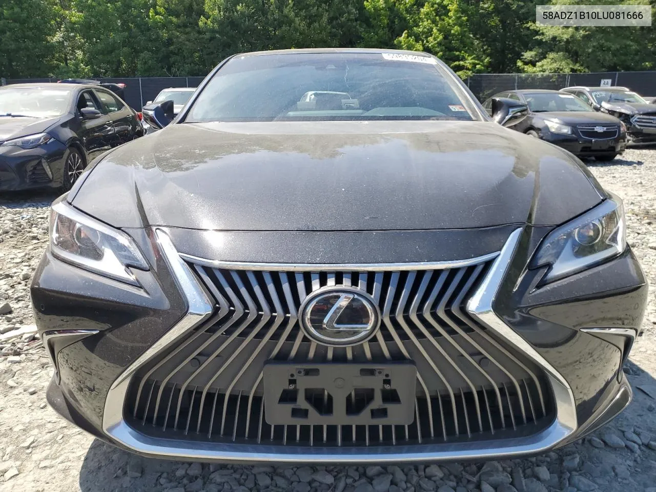 2020 Lexus Es 350 VIN: 58ADZ1B10LU081666 Lot: 59835204