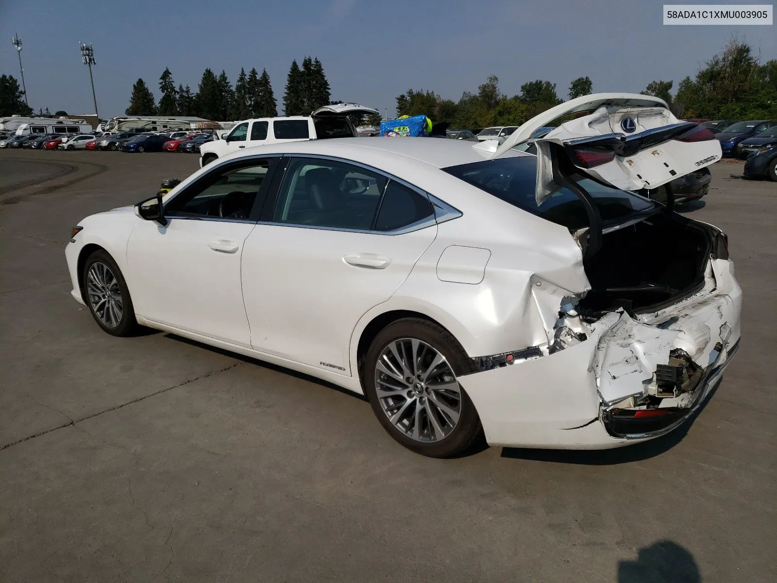 2021 Lexus Es 300H VIN: 58ADA1C1XMU003905 Lot: 66609464