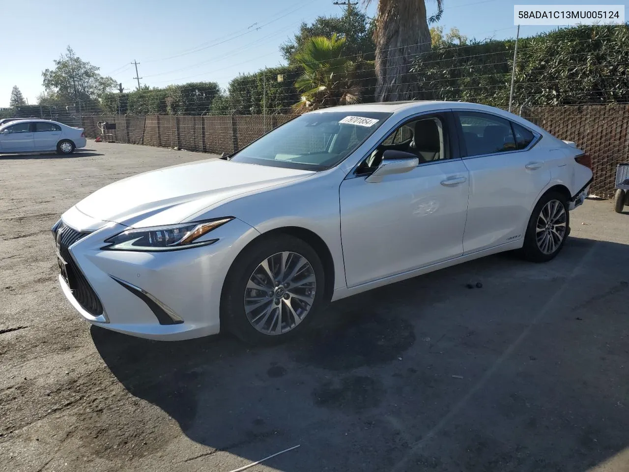 2021 Lexus Es 300H VIN: 58ADA1C13MU005124 Lot: 79701854