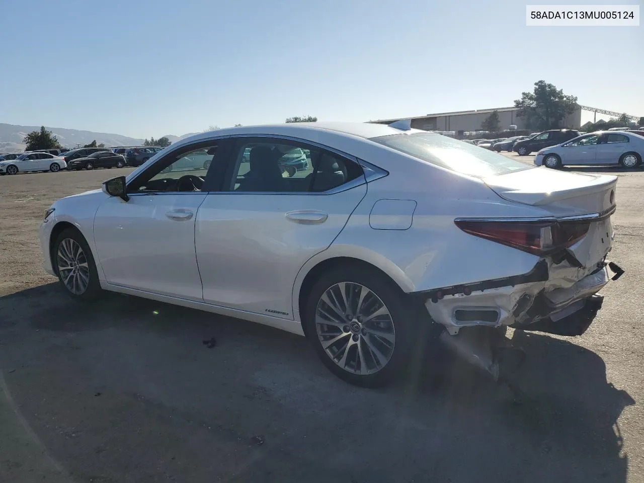 2021 Lexus Es 300H VIN: 58ADA1C13MU005124 Lot: 79701854