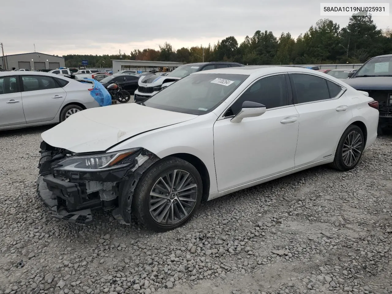 2022 Lexus Es 300H Base VIN: 58ADA1C19NU025931 Lot: 77135264