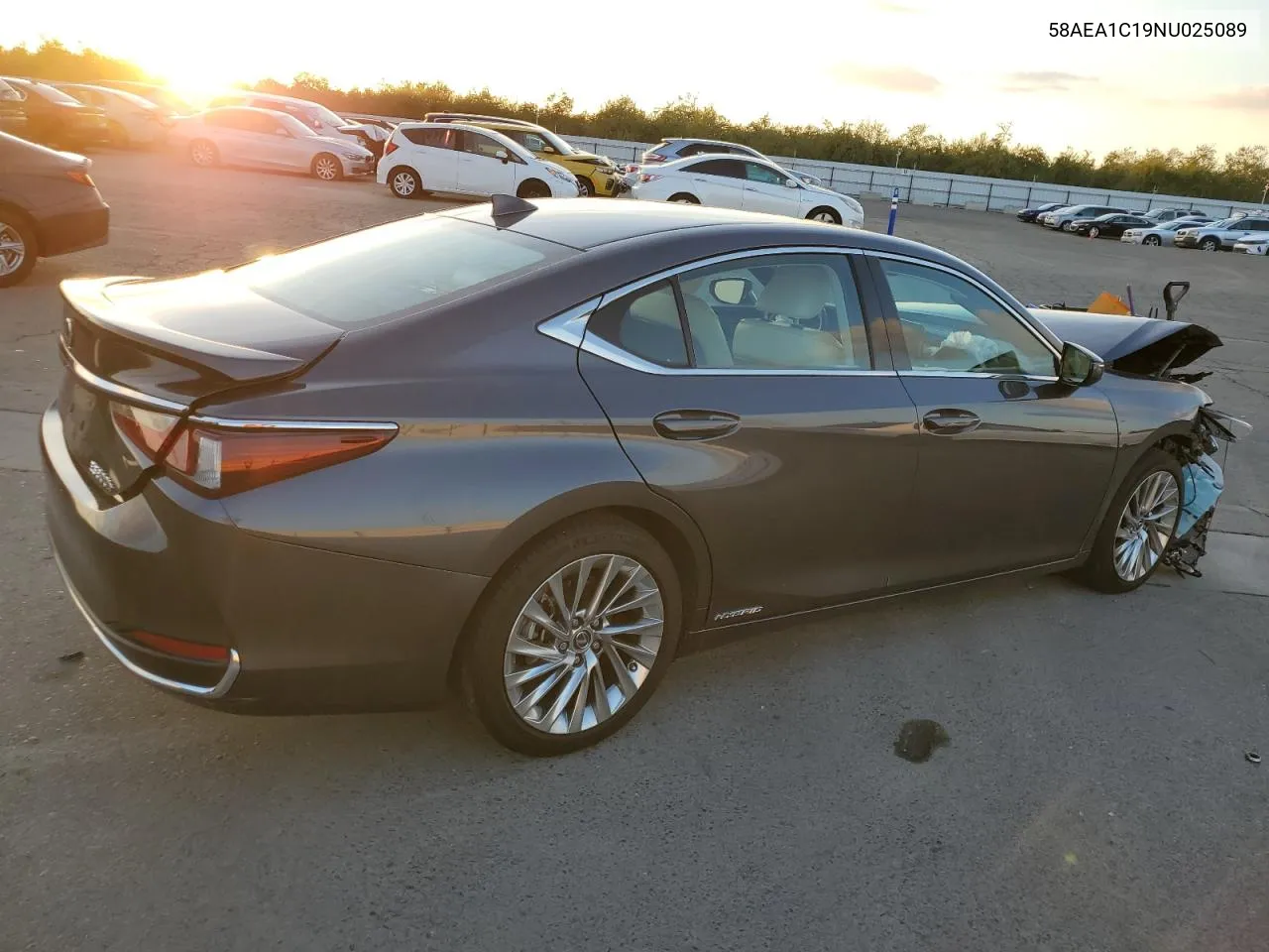 2022 Lexus Es 300H Base VIN: 58AEA1C19NU025089 Lot: 80457754