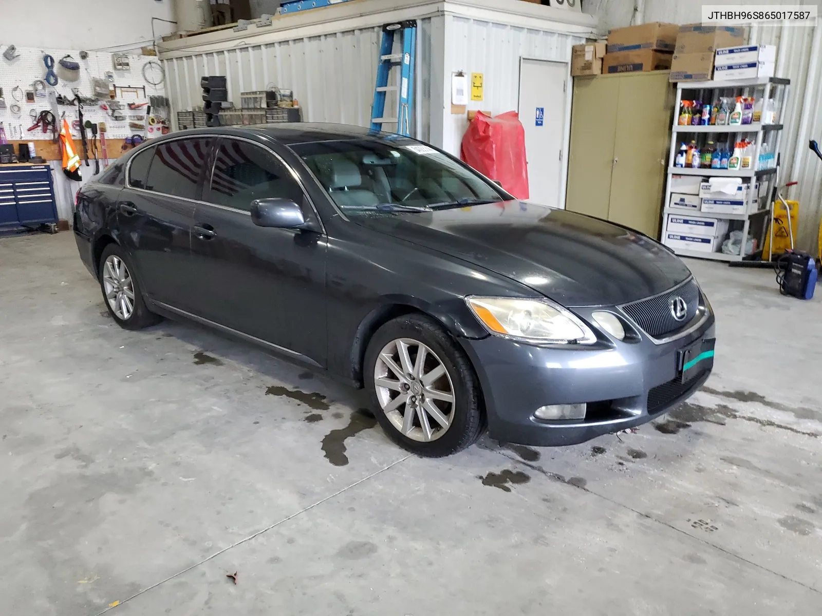 2006 Lexus Gs 300 VIN: JTHBH96S865017587 Lot: 54063744