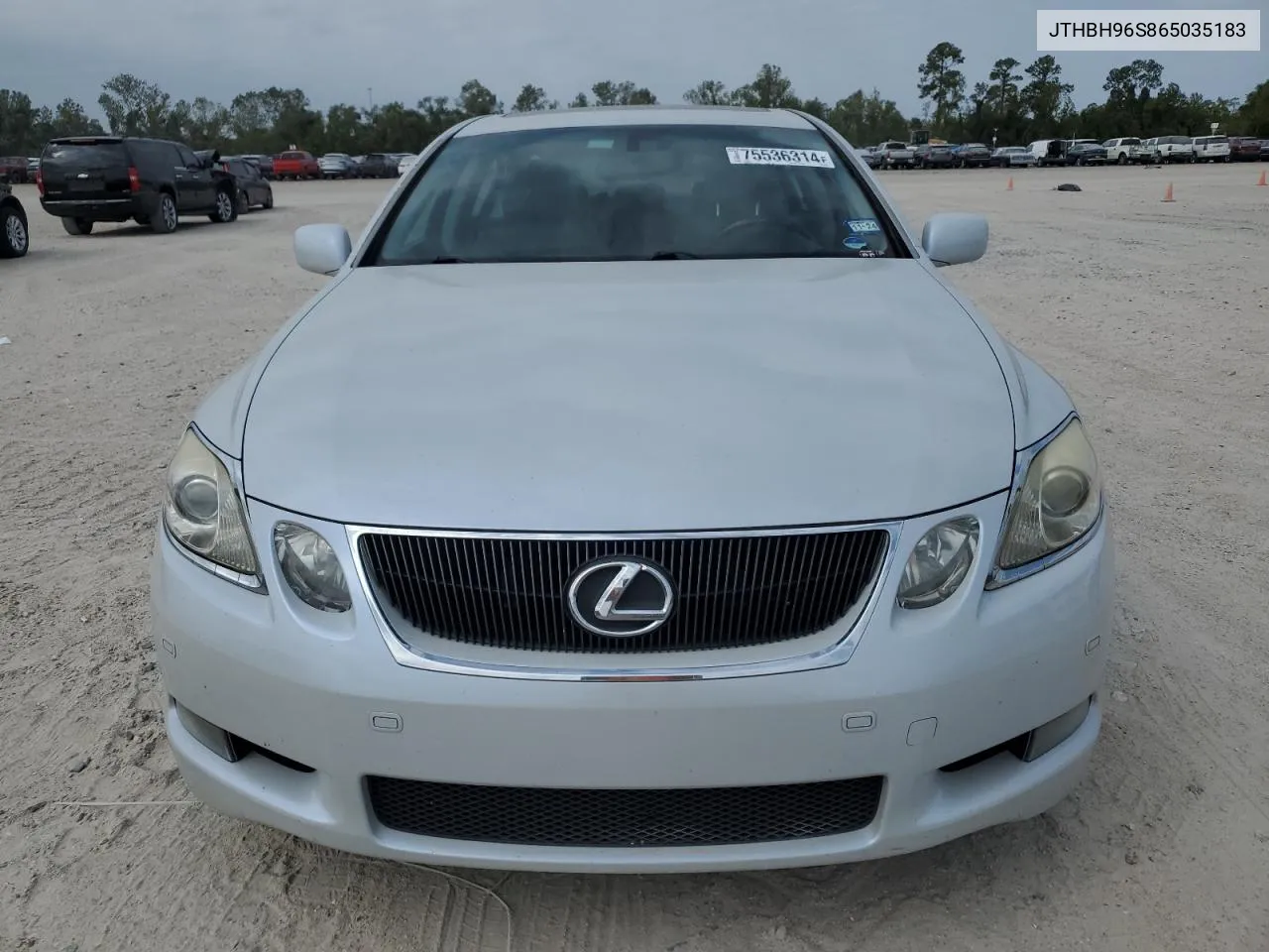 2006 Lexus Gs 300 VIN: JTHBH96S865035183 Lot: 75536314