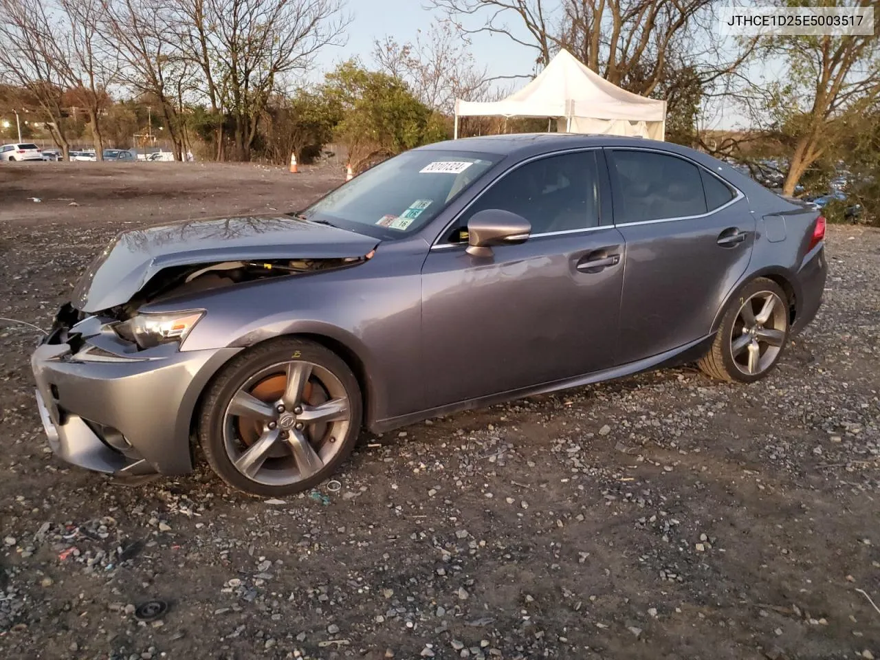 2014 Lexus Is 350 VIN: JTHCE1D25E5003517 Lot: 80101324