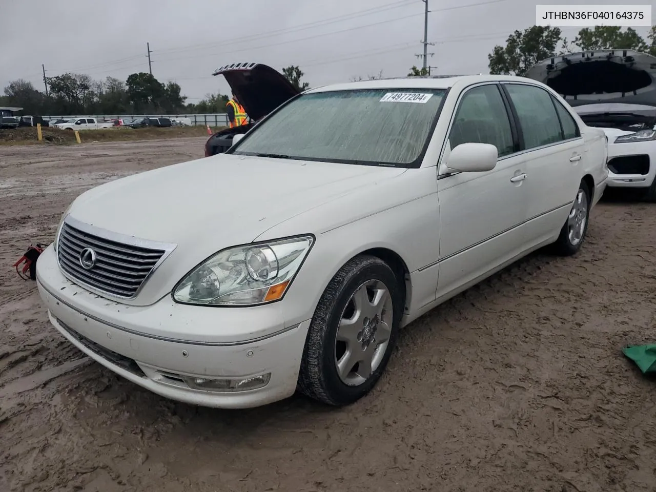 2004 Lexus Ls 430 VIN: JTHBN36F040164375 Lot: 74977204